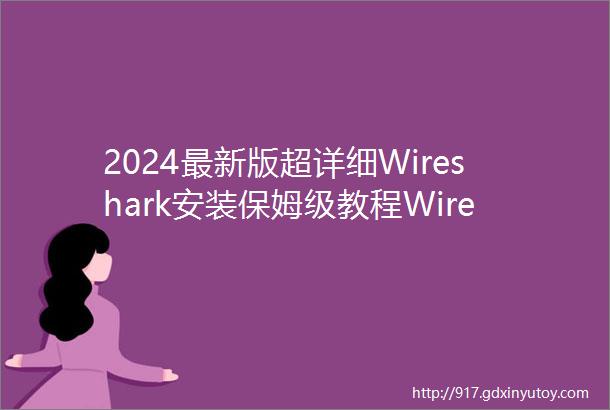 2024最新版超详细Wireshark安装保姆级教程Wireshark抓包网络分析收藏这一篇就够了